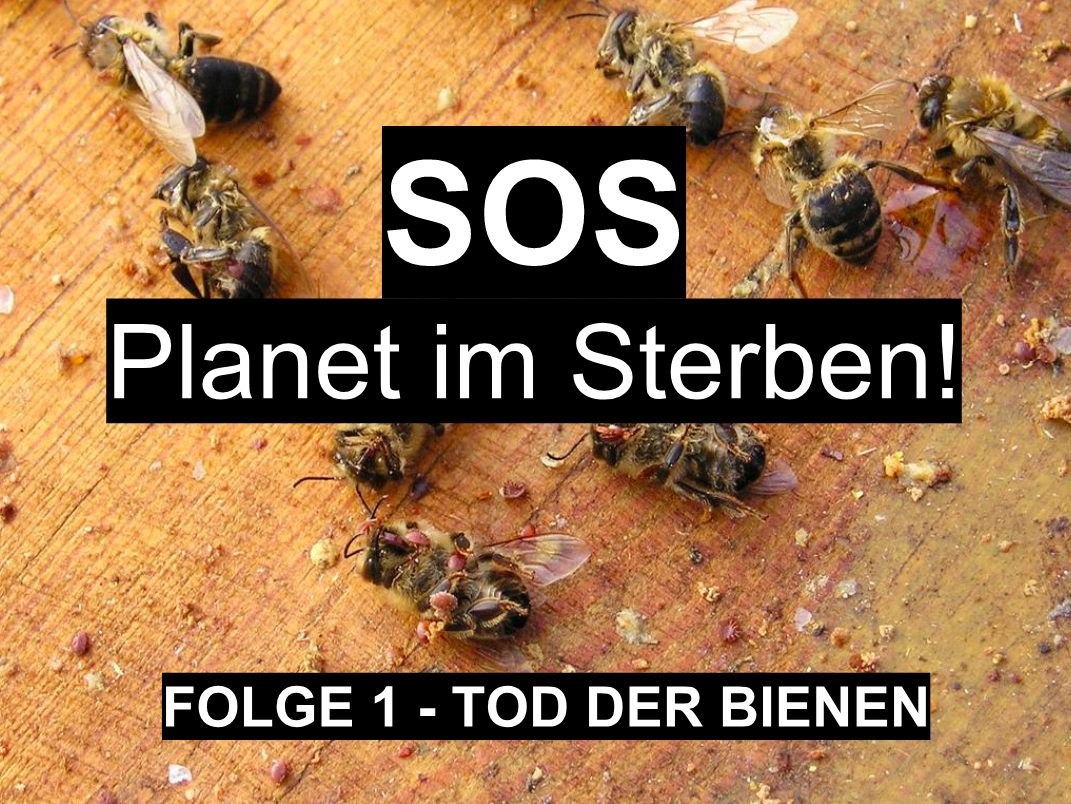 SOS - Planet im Sterben - (1) Tod der Bienen