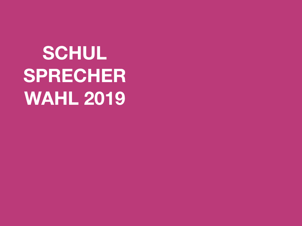 SCHULSPRECHERWAHL 2019